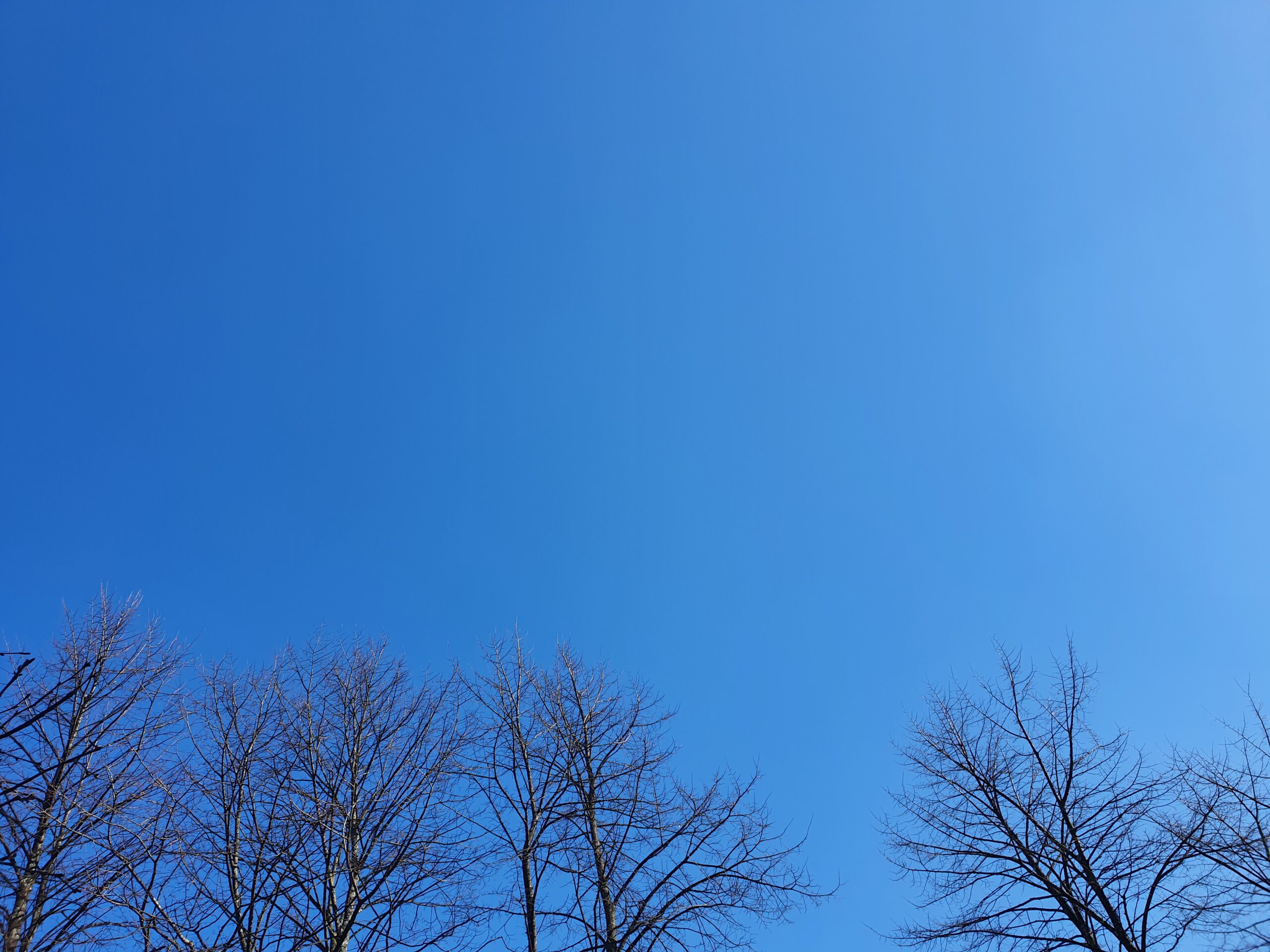 Cielos despejados toda la semana y alerta por frío