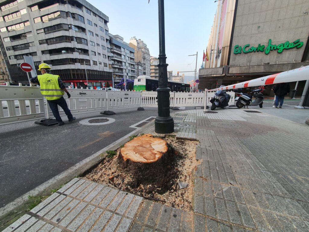 Una docena de árboles talados en Gran Vía desde que empezaron las obras de las nuevas rampas