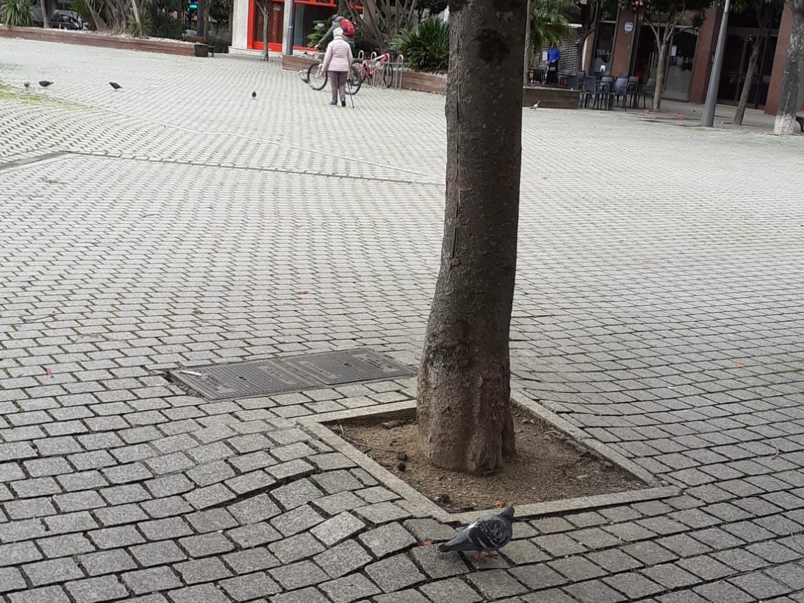 O BNG pide ao Concello que actúe ante o "abandono" da Praza da Independencia