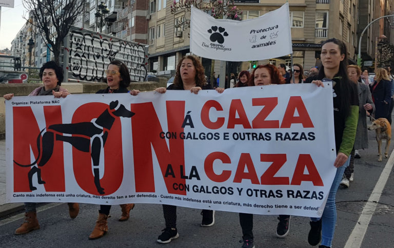 Llaman a protestar este domingo en Vigo contra el 'lobby procaza'