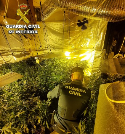 Desmantelada una plantación 'indoor' de marihuana en Tomiño