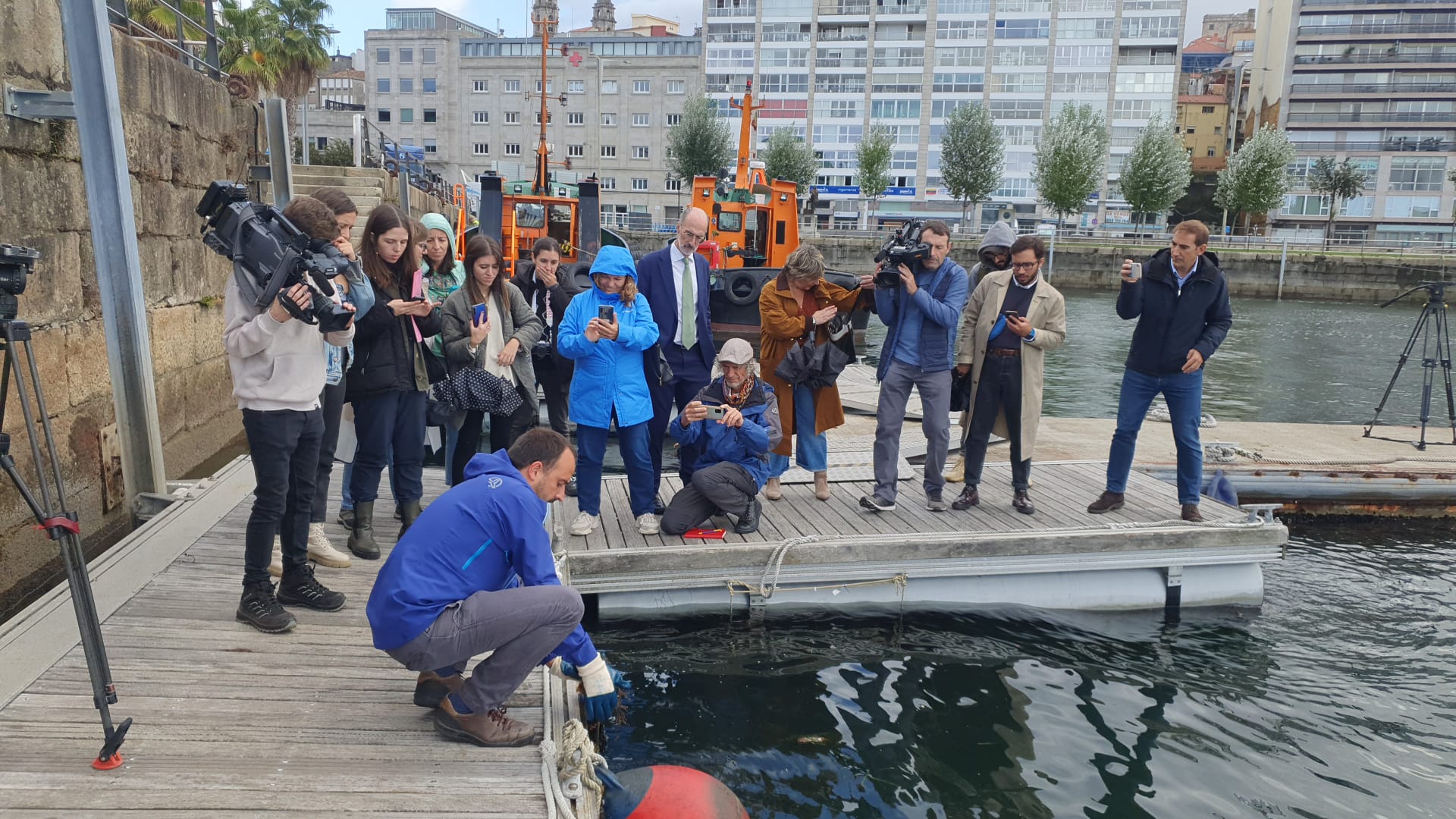 Más de 187 especies viven en los 'jardines submarinos' del Puerto de Vigo