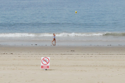 Unha vertedura de augas non depuradas, pode ser a orixe da elevada presenza de bacterias fecais en Samil