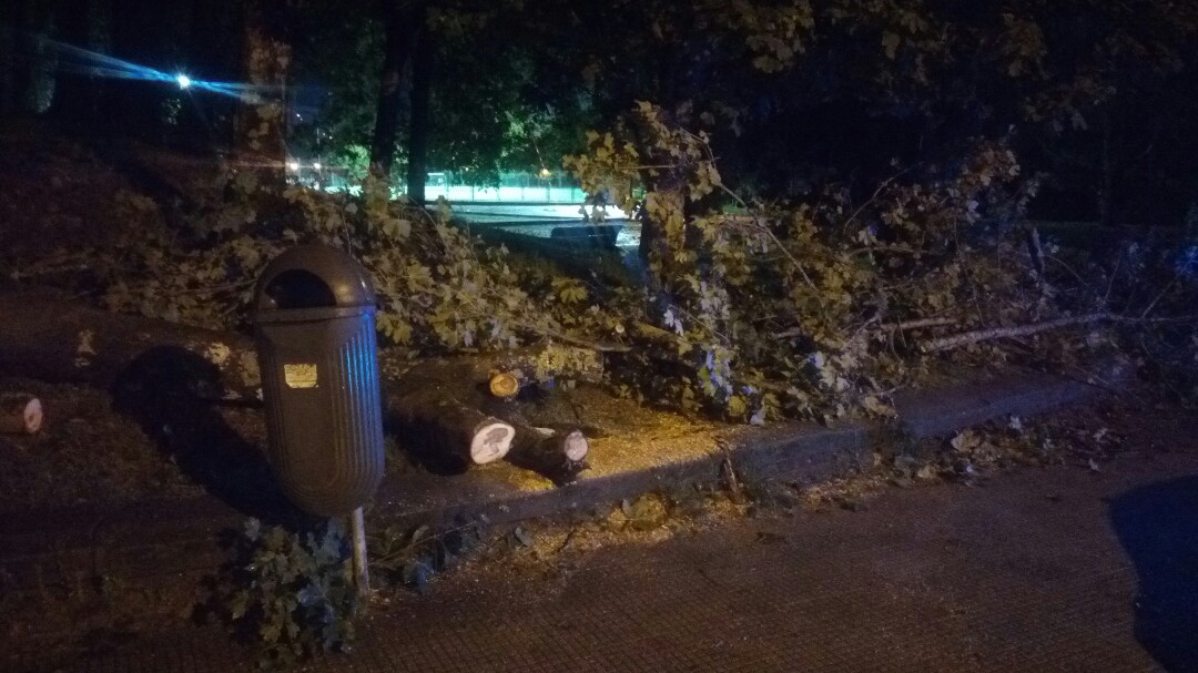 El viento y la lluvia causan más de 100 incidencias en Vigo