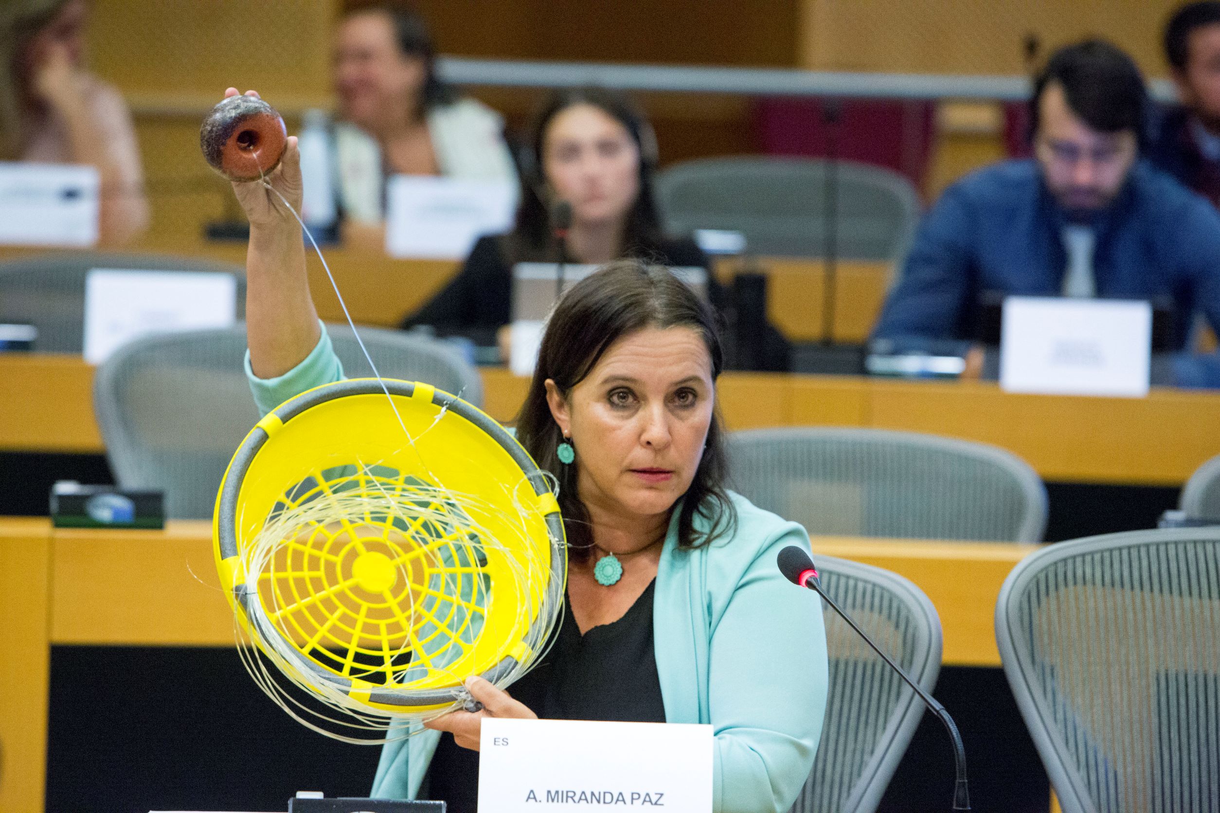 Ana Miranda reclama na Eurocámara a suspensión do veto á pesca de fondo