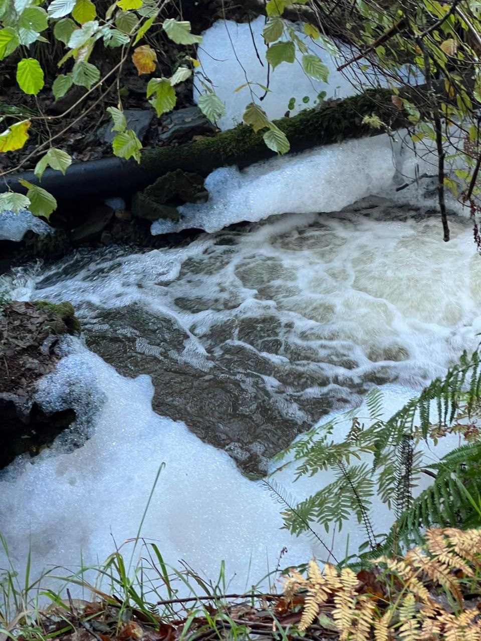 Ecoloxistas en Acción e AVIBE denuncian novos vertidos ao río Eifonso