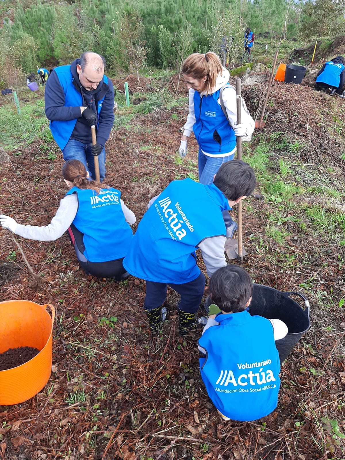 Voluntarios plantan máis de 250 árbores autóctonas en Coruxo