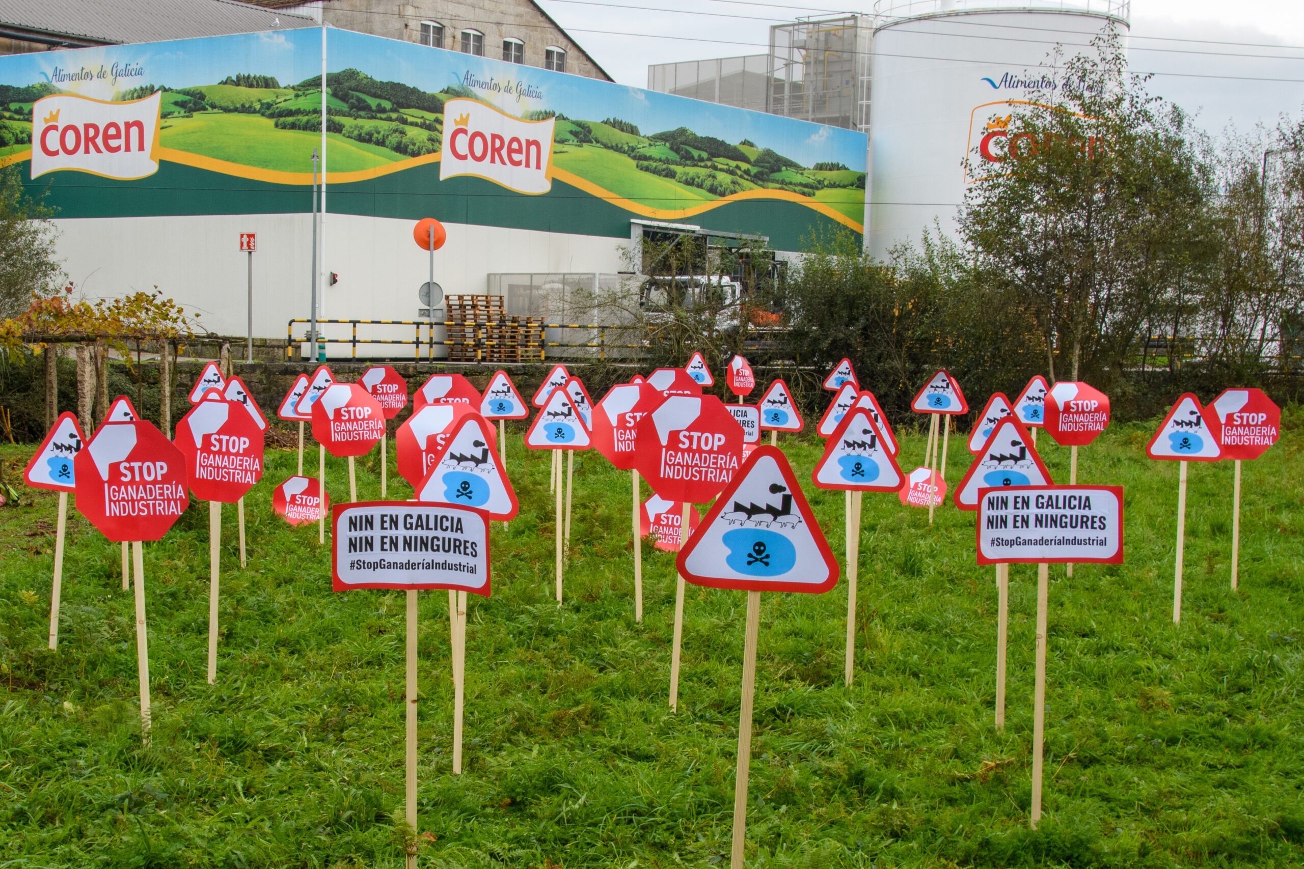 Ecoloxistas denuncian os efectos nocivos das macrogranxas diante de Coren, no Porriño