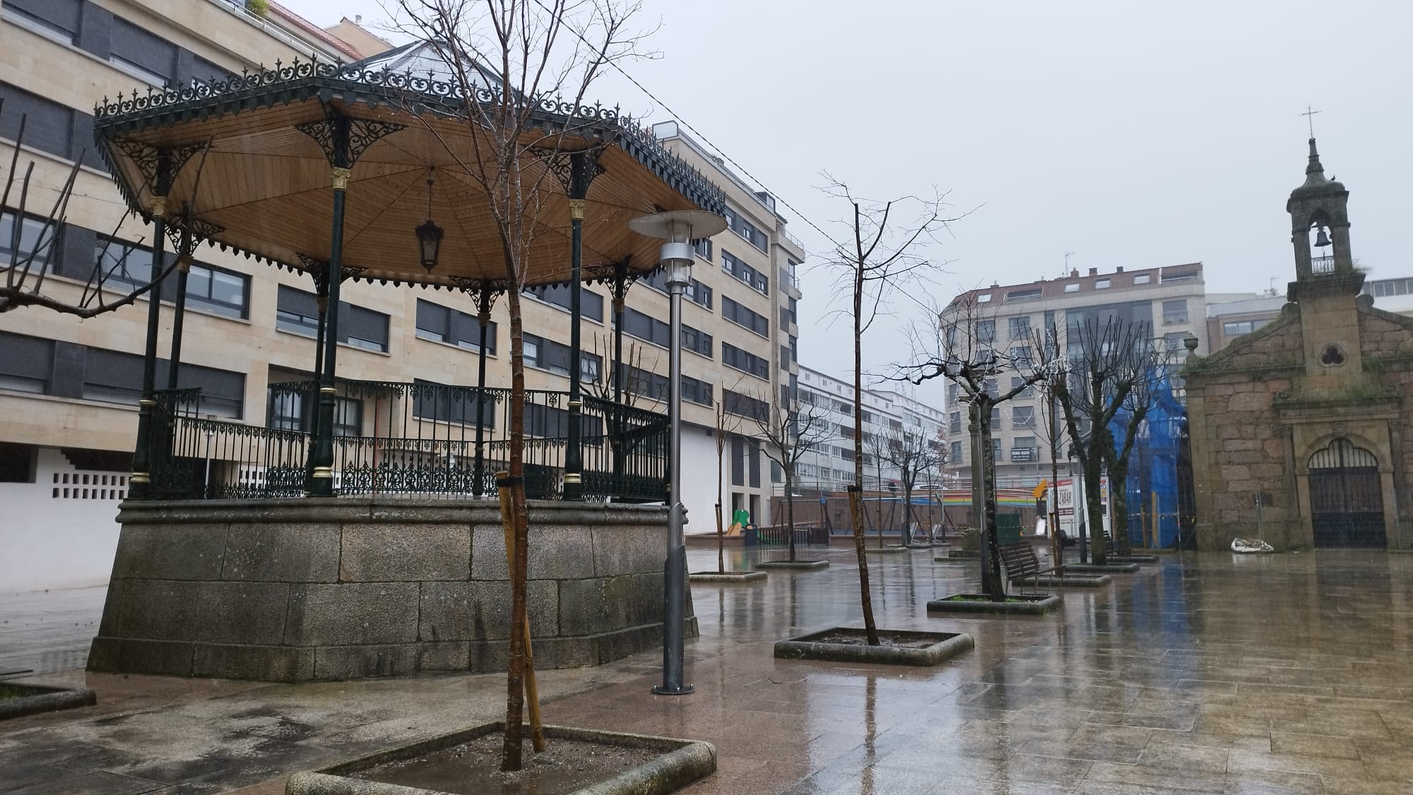 O Porriño planta 100 novas árbores no centro urbán