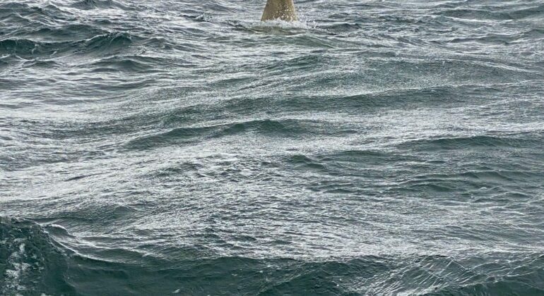 Interceptado un nuevo narcosubmarino, con 6.000 kilos de cocaína