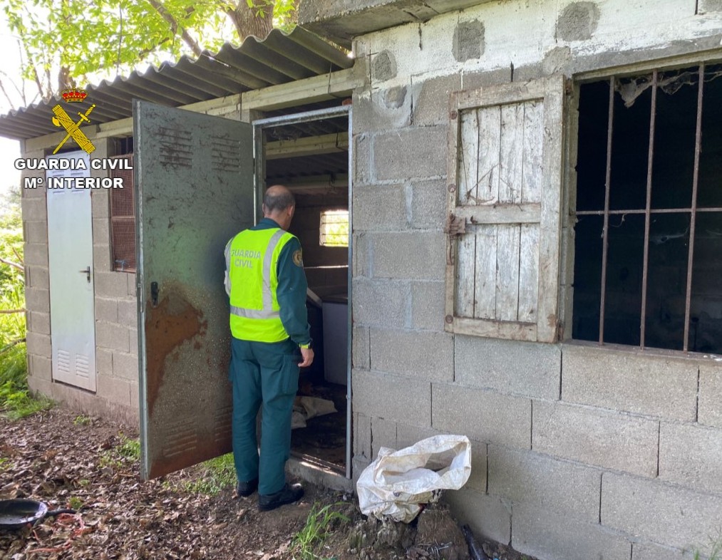 La Guardia Civil de Vigo detiene a un individuo que dejó morir a varios perros de hambre y de sed