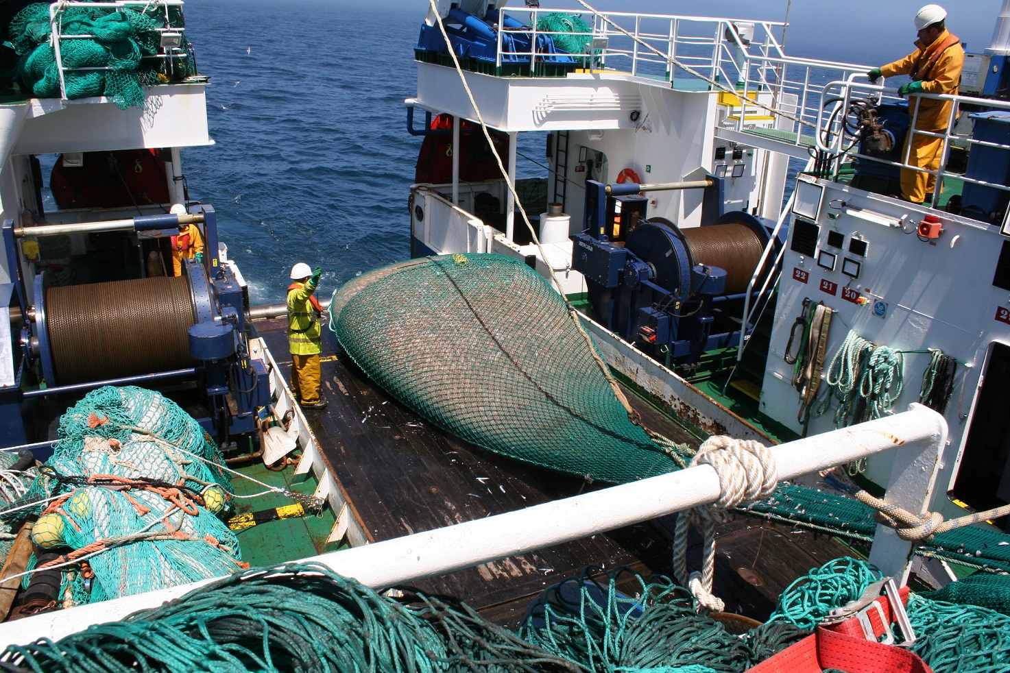 Científicos vigueses estudiarán los recursos pesqueros de Terranova y Flemish Cap
