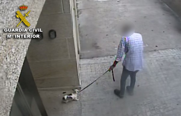 Investigan a individuo acusado de golpear a su perro hasta matarlo
