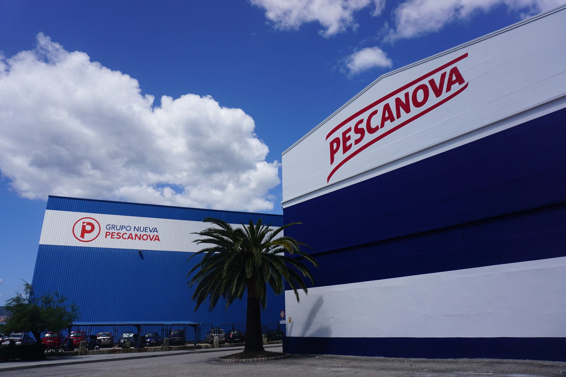 Nueva Pescanova inicia un ERE que afectará a unos cien trabajadores