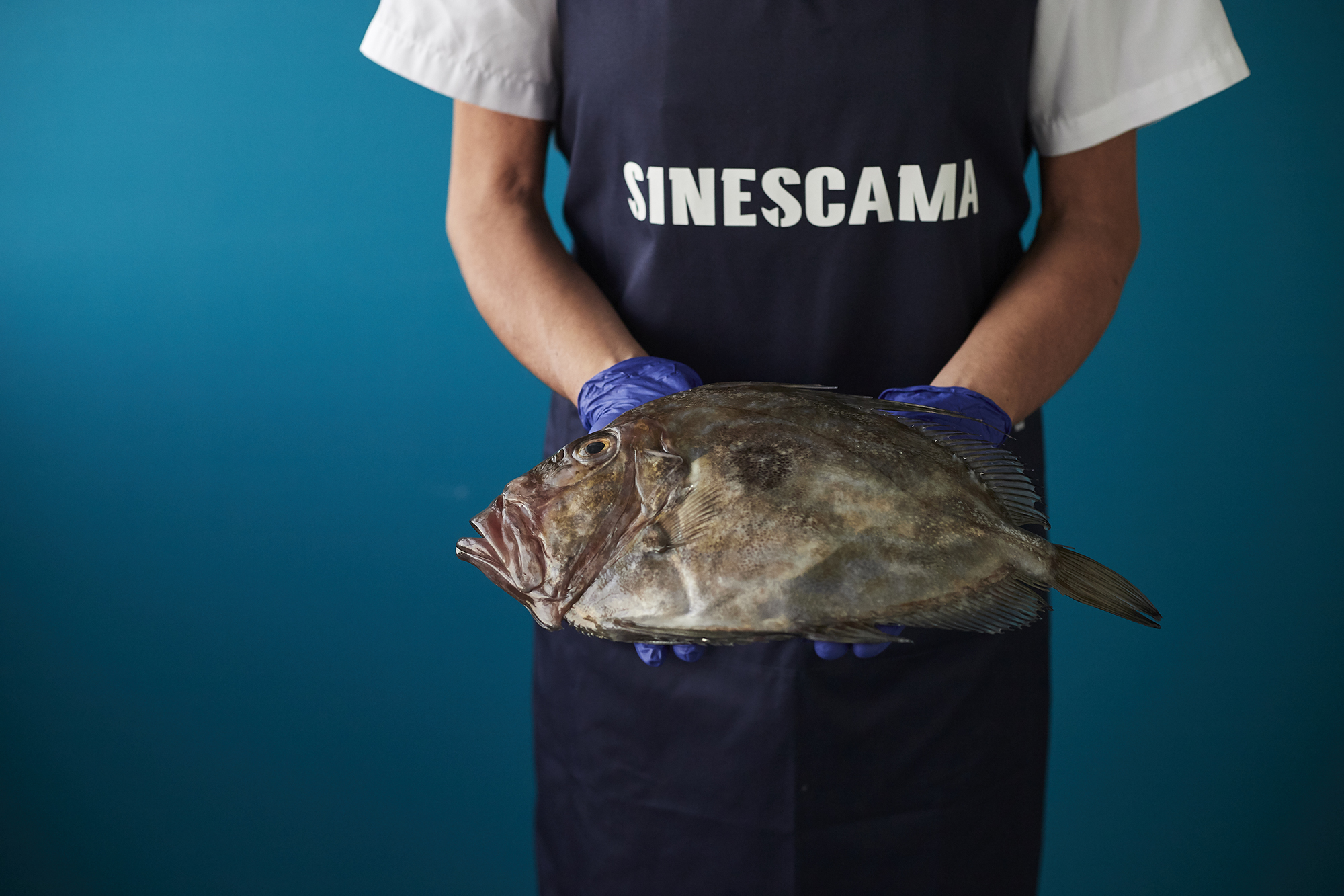 'Sinescama': pescado directo de la lonja a tu mesa