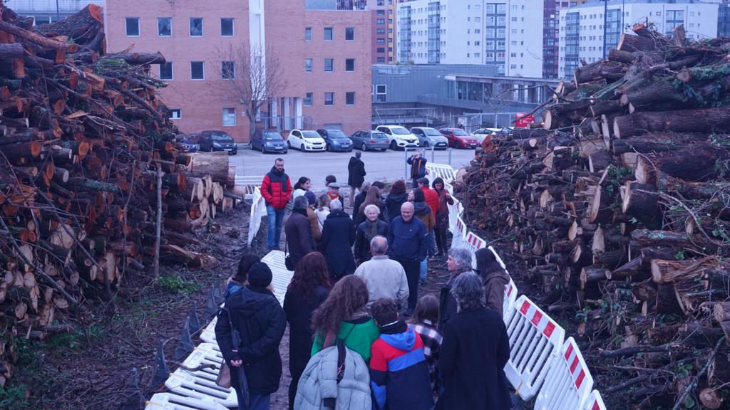 Protesta ante unha nova talla árbores, desta vez en Navia