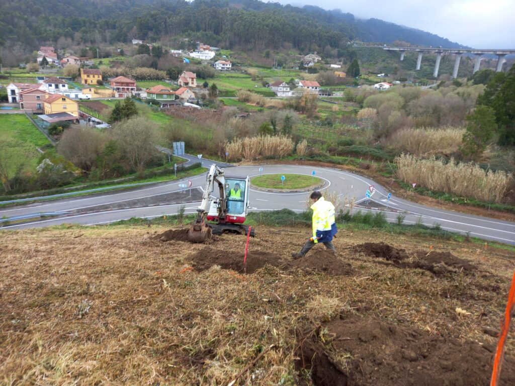 Plantando árbores autóctonas no Corredor do Morrazo 