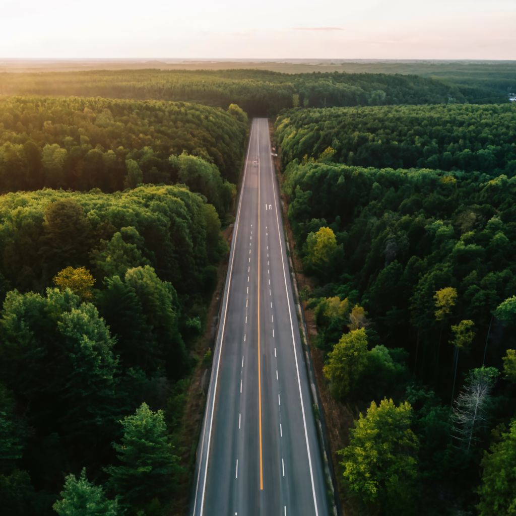 Un túnel de árbores para o Corredor do Morrazo