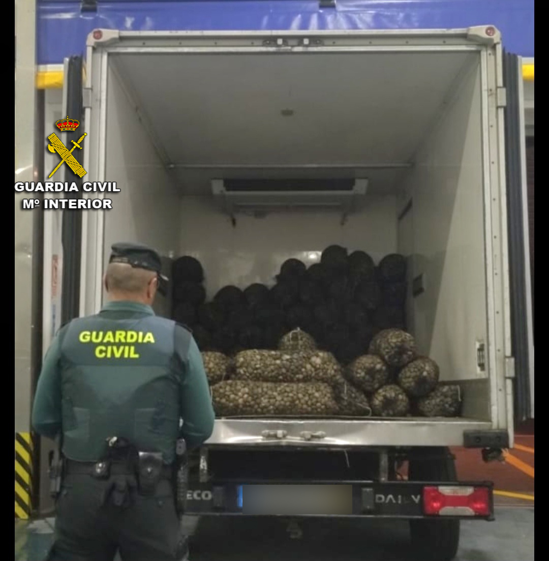 La Guardia Civil intercepta un camión portugués con 1.674 kilos de almeja japónica
