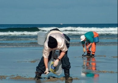 A Deputación abre este venres o prazo para que confrarías e mariscadoras soliciten axudas