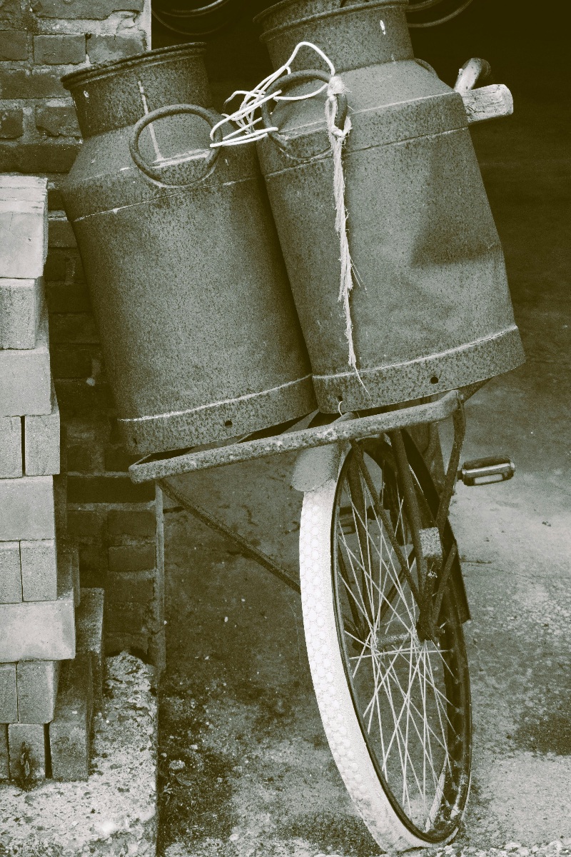Exposición de bicicletas antiguas