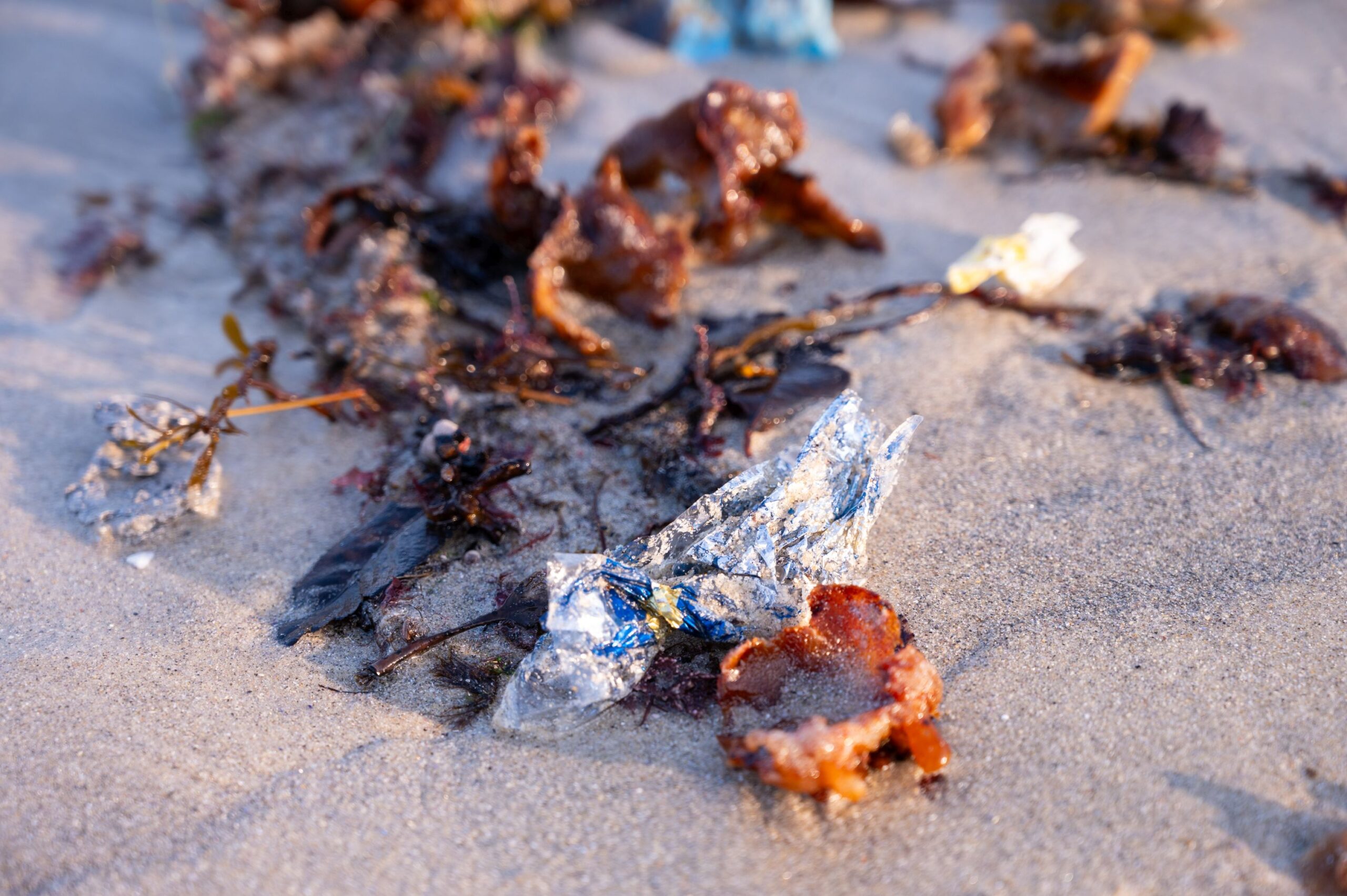 Algunos de los pescados más consumidos son transmisores de microplásticos a nuestra alimentación