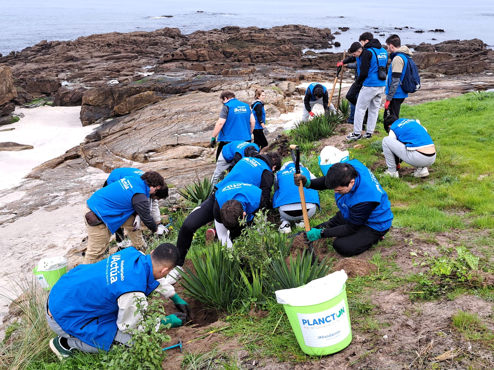 Estudiantes y profesores del Colegio Hogar retiran 500 kilos de flora invasora y basura de A Fontaíña