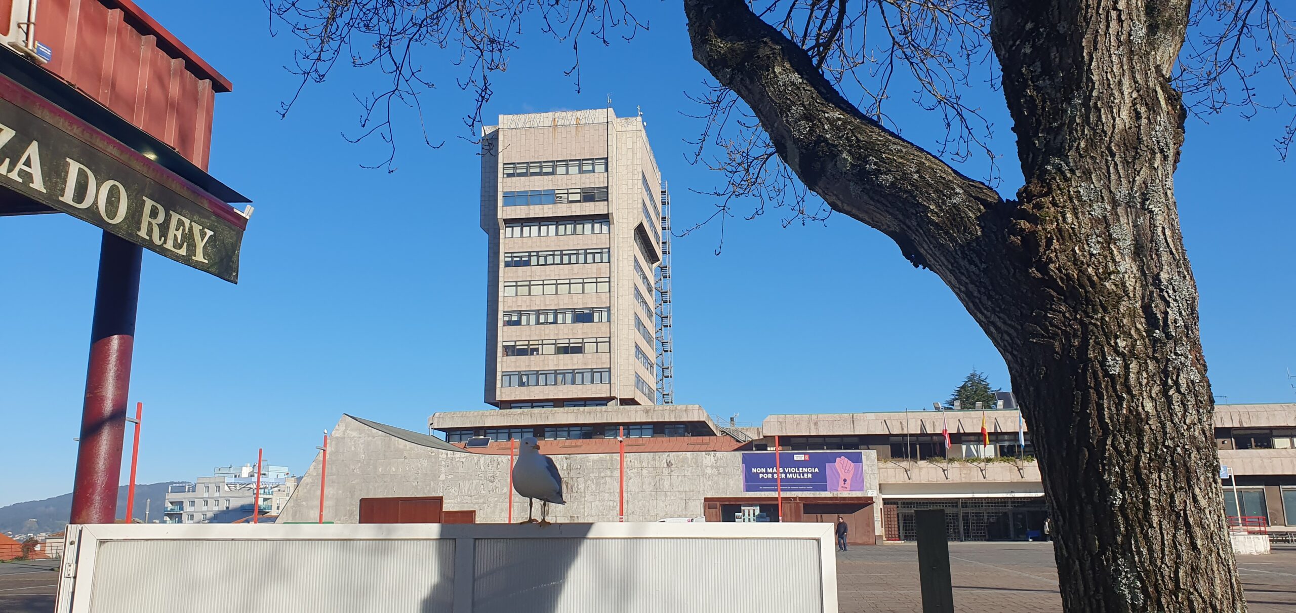 Denuncian que en las declaraciones de intereses económicos de los concejales no se incluyen sus cuentas bancarias y valor de sus propiedades