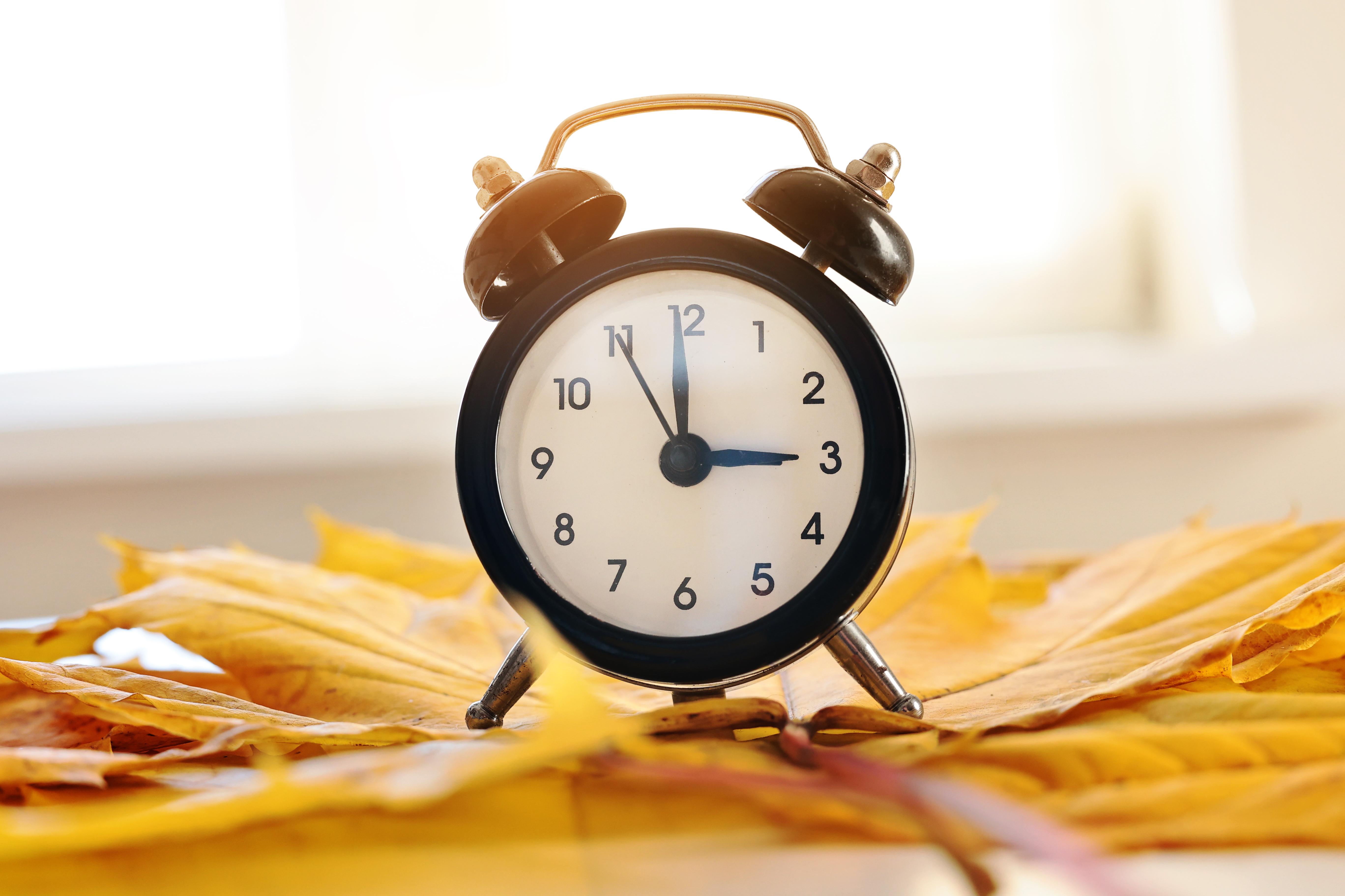 Recuerda que la madrugada del sábado al domingo hay que adelantar el reloj 1 hora