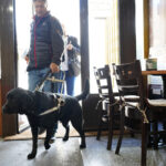Los perros guía de la ONCE reclaman su derecho de acceso a bares, cafeterías y restaurantes