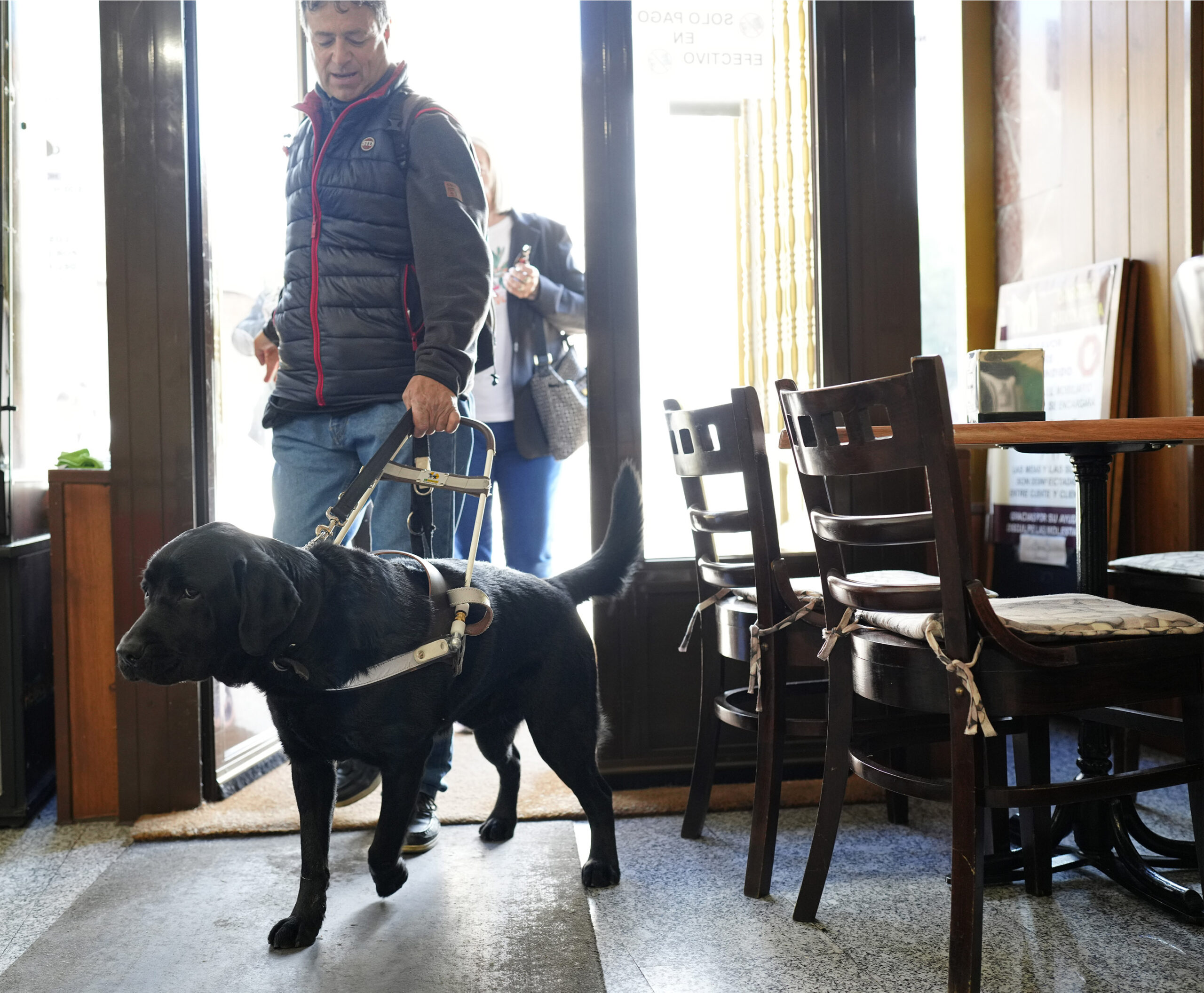 Los perros guía de la ONCE reclaman su derecho de acceso a bares, cafeterías y restaurantes