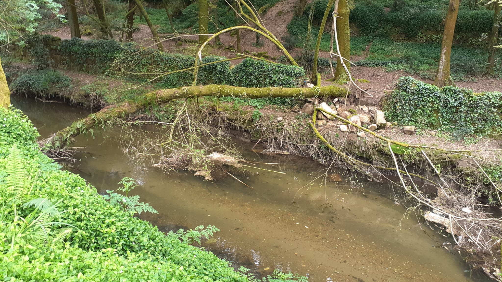 Piden que se remate coa situación de abandono do río Lagares