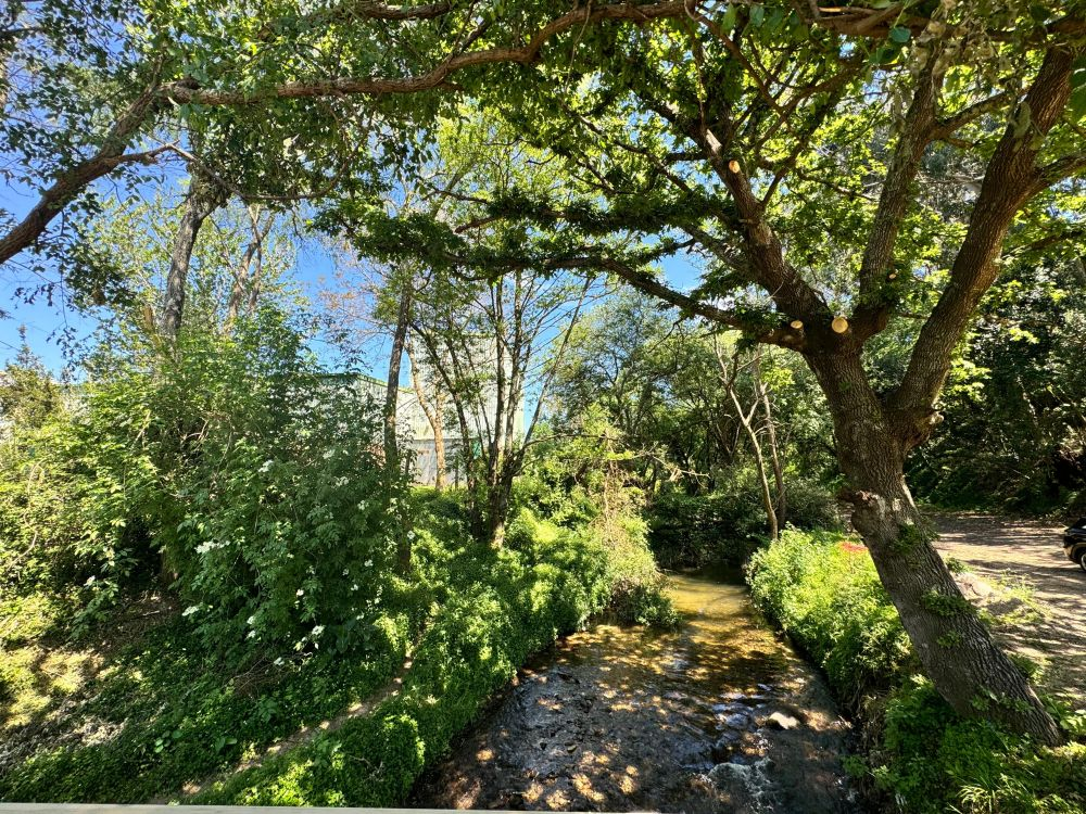 El Concello de Vigo abre una nueva ruta saludable en la Senda Azul del Lagares