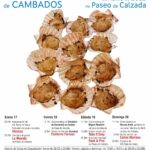Cambados se prepara para la XXI Festa da Vieira, con un día más de celebración
