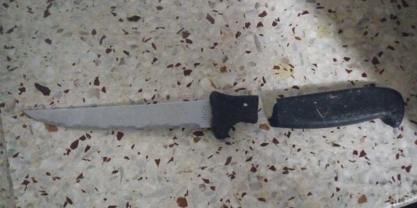 Retienen a una ladrona que atracó a una vecina a punta de cuchillo