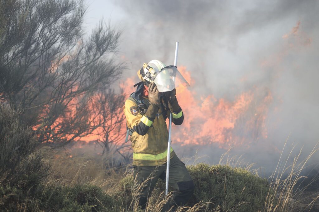 Un incendio forestal en Punxín corta durante horas a liña ferroviaria entre Santiago e Ourense