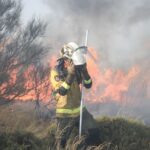 Advierten del impacto del humo de los incendios en la salud cerebral