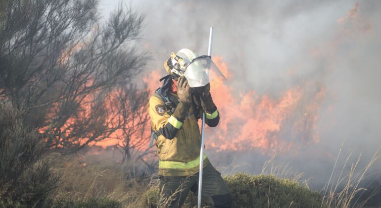 Advierten del impacto del humo de los incendios en la salud cerebral