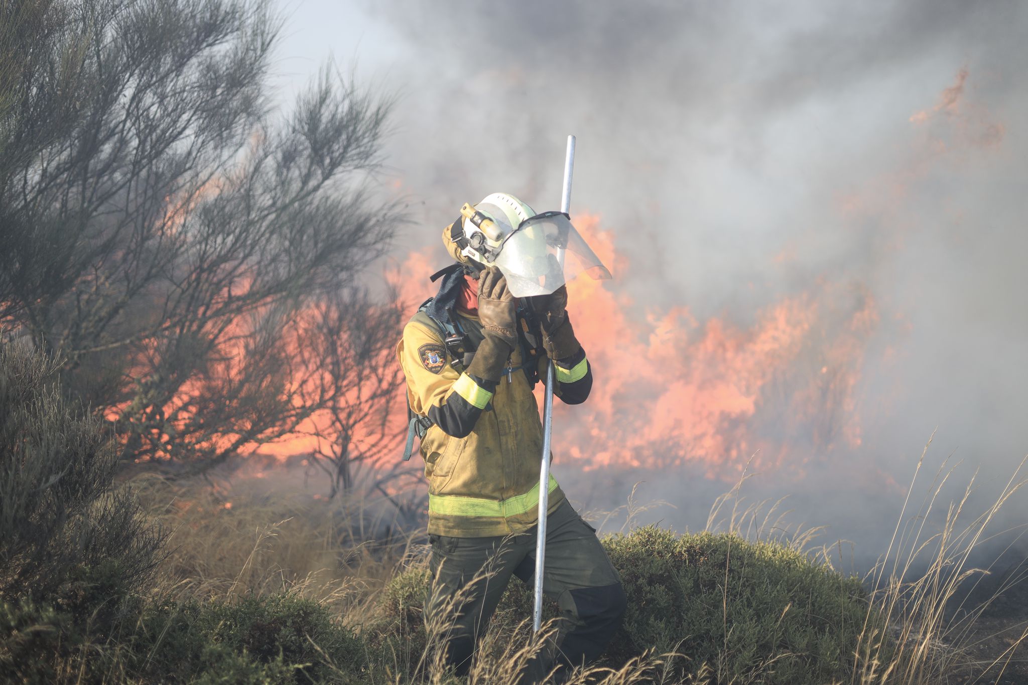 Advierten del impacto del humo de los incendios en la salud cerebral