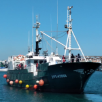 Rescatados sanos y salvos los 11 tripulantes de un pesquero de A Guarda que se fue a pique en el Atlántico