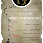En marcha o VI Camiño do Irmandamento, impulsado polo Concello de Gondomar