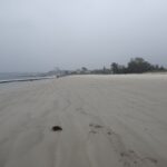 Lluvia...para empezar septiembre