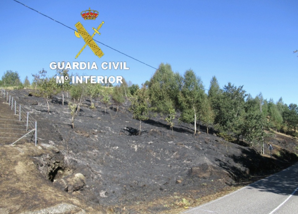 Investigan a dos personas por un incendio forestal en Fornelos de Montes
