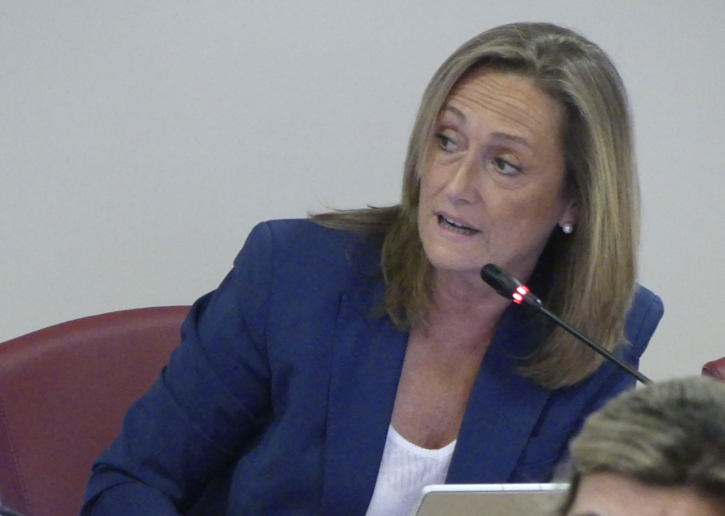 Luisa Sánchez denuncia que el Gobierno no fija plazos ni inversiones para la salida sur ferroviaria