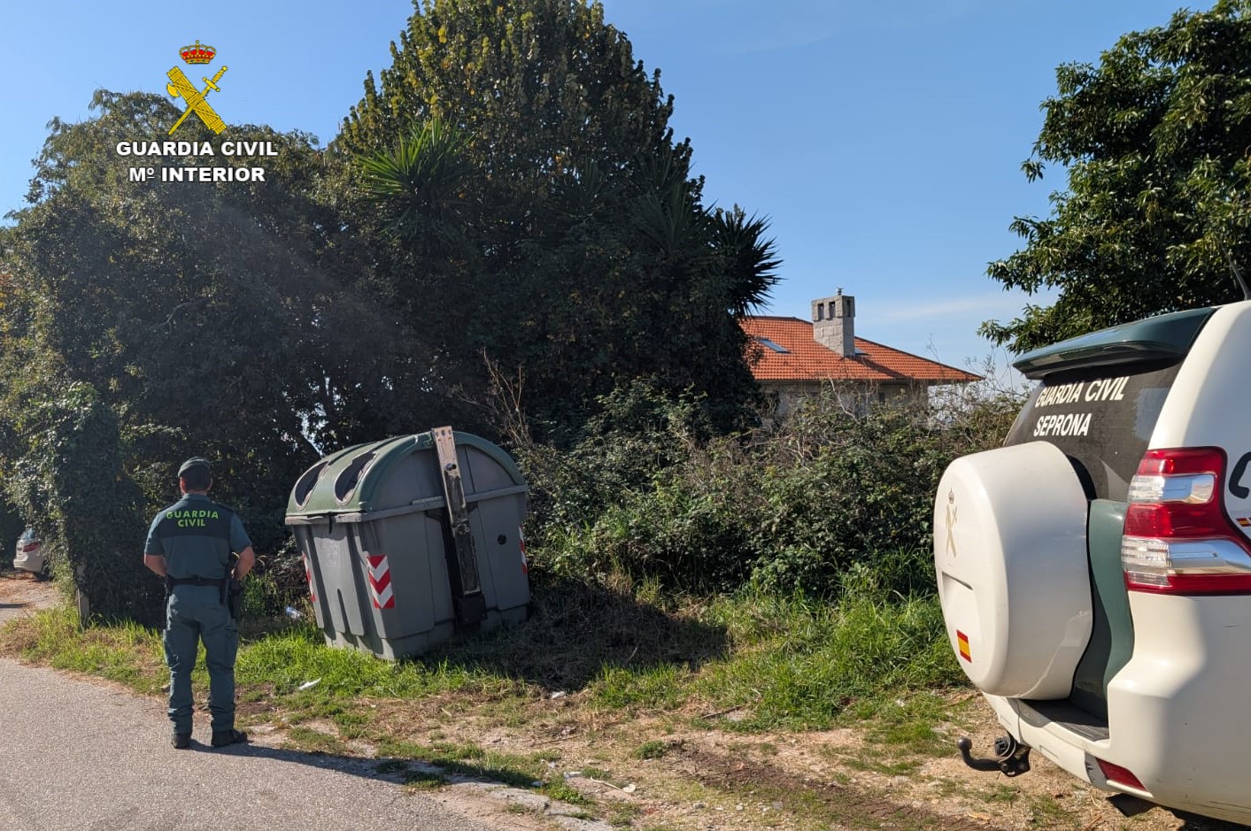 Investigan a una vecina de Cangas que tiró dos crías de gato a un contenedor de basura
