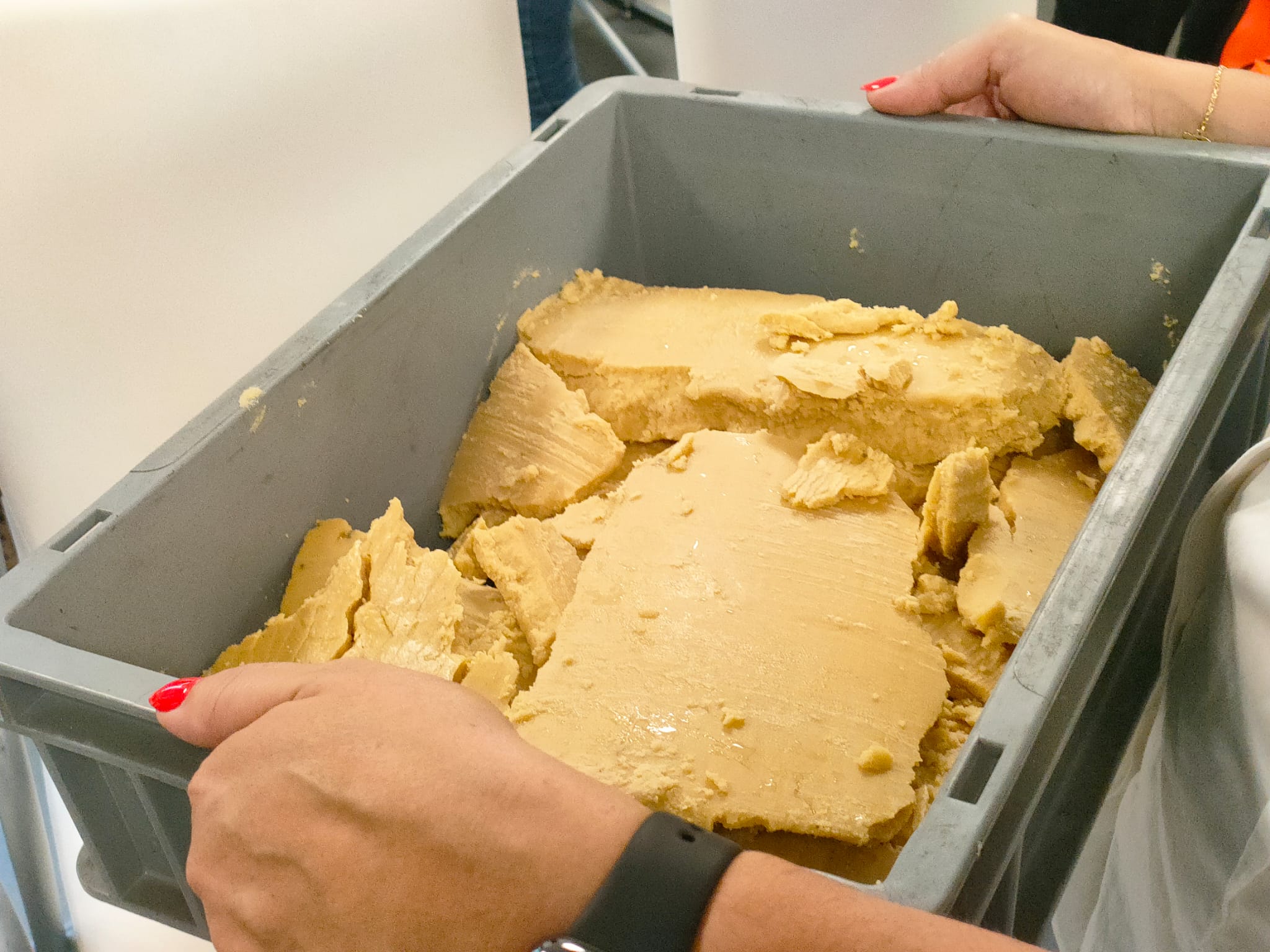 El presidente del Puerto confirma que el vertido de aceite de palma en Guixar no es contaminante