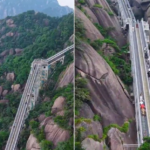 La sorprendente igualdad de costes entre la escalera mecánica más larga de China y el HALO de Vigo