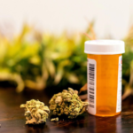 El Gobierno aprueba el uso medicinal del cannabis