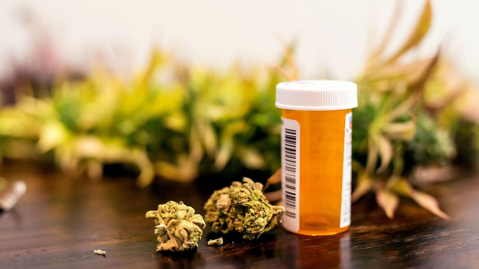 El Gobierno aprueba el uso medicinal del cannabis