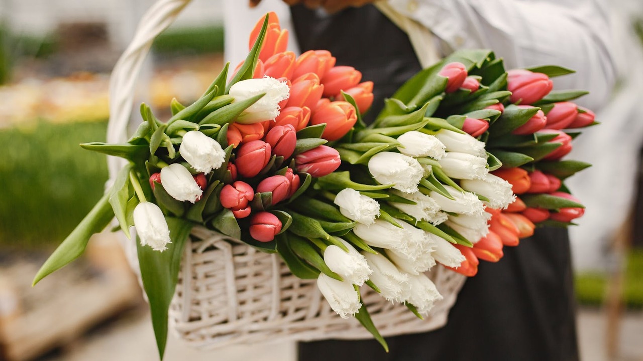 El papel de los abuelos: transmitir a los más jóvenes la simbología de las flores de duelo y las tradiciones familiares